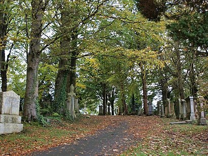 How to get to Cathcart Cemetery with public transport- About the place