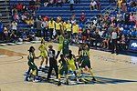 Thumbnail for 2019 Seattle Storm season