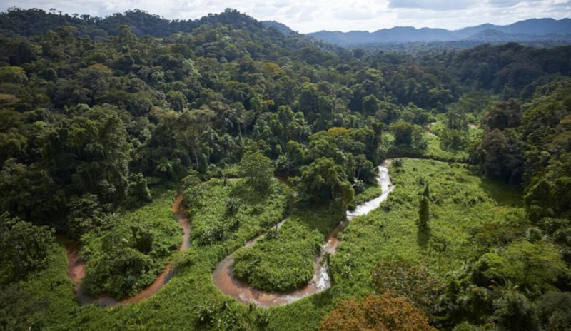 File:Selva tropical en la biosfera de el rio plátano Honduras.jpg