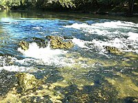 Rapids in the Chipola River