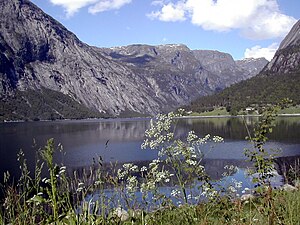 Simadalsfjord