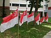 Singapore flag 4.jpg