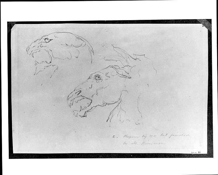 File:Sketches of Two Animal Skulls MET 182174.jpg