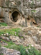 La grotte de Skhul.