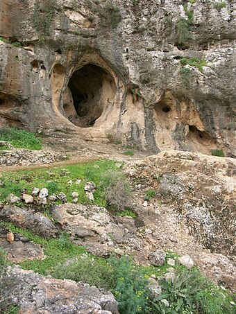 Es Skhul cave
