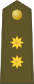 กองทัพบกสเปน (Teniente Coronel)