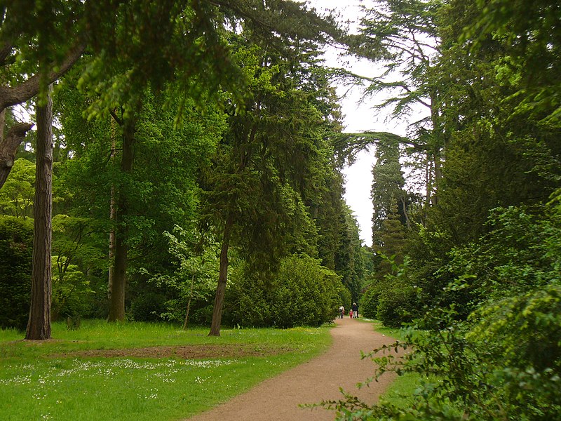 File:Specimen Avenue, Westonbirt Arboretum - geograph.org.uk - 1896176.jpg