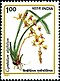 Stamp of India - 1991 - Colnect 164201 - Cymbidium aloifolium.jpeg