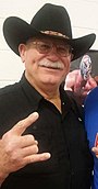 Stan Hansen 2015 (cropped).jpg