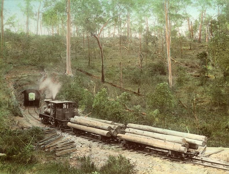File:StateLibQld 2 239688 View of the locomotive approaching the tunnel on the Canungra Sawmill tramway.jpg
