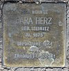 Stolperstein Eisenacher Str 116 (Schön) Sara Herz.jpg