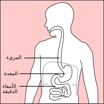 أمراض المعدة