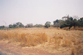 Судански пејзаж
