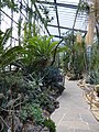 Neuer Botanischer Garten — Giftpflanzen