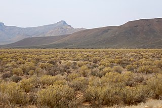 <span class="mw-page-title-main">Roggeveld Mountains</span> Mountain range in Northern Cape, South Africa