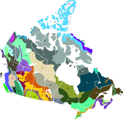 Terrestrial ecoregions of Canada