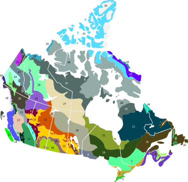 Terrestrial ecoregions of Canada Terrestrial ecoregions CAN.svg