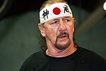 Vorschaubild für Terry Funk