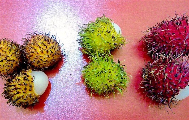 File:Three rambutan colors.jpg