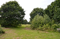 Tiptree Paroki Bidang 4.jpg