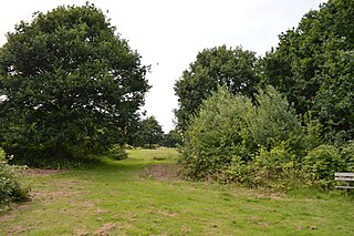 Tiptree Parish Field Nature Reserve