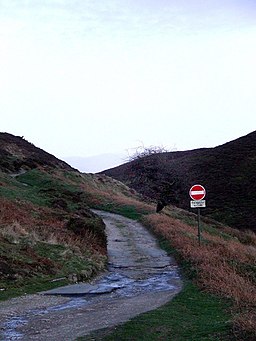 Track on Foel Lus - geograph.org.uk - 151506