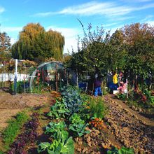 Tradition des jardins potagers rive gauche de la Marne.