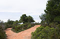Trails, Pinet, Hérault.jpg