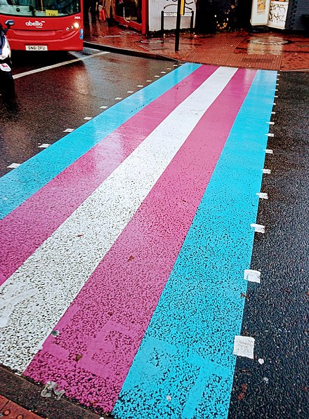 The Transgender crossing in Sutton