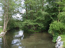 Mündung der Trebgast (rechts im Bild) in den Weißen Main (von hinten nach vorn)