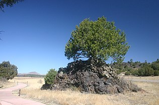 Lava squeeze-up in Capulin Volcano National Monument, New Mexico, USA
