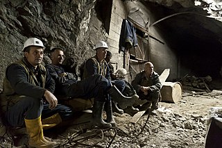 <span class="mw-page-title-main">Miner</span> Person working within a mine