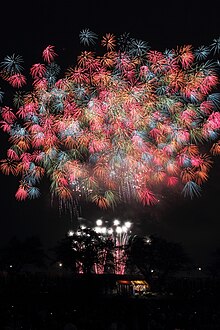 Tsuchiura Fireworks 2014.jpg