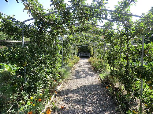 Bewachsener Tunnel im Garten von Arlington Court, Devon, England