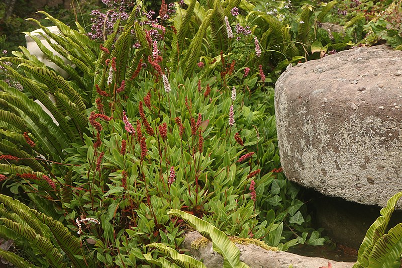 File:Usk Castle Walls Close-up.jpg