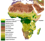 Vegetation Africa