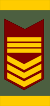 File:Venezuela-Army-OR-8a.svg