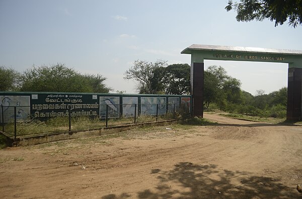 Image: Vettangudi Bird Sanctuary JEG4243