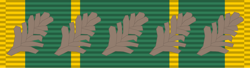 File:Vietnam Military Service Medal ribbon-First Class.svg