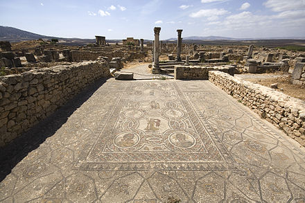 Mosaic of the Four Seasons in the House of the Labours of Hercules, and general view of the archeological site