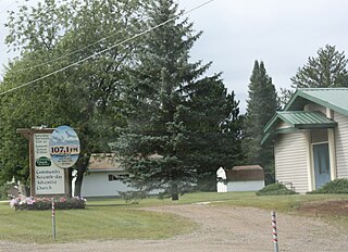 <span class="mw-page-title-main">WLBI-LP</span> Radio station in Tomahawk, Wisconsin