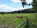 Thumbnail for File:West Garland Moor - geograph.org.uk - 4603459.jpg