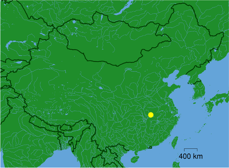 Tập_tin:Wuhan_dot.png