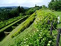 2006年5月22日 (月) 13:03時点における版のサムネイル