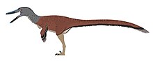 Life restoration Ypupiara lopai profile reconstruction.jpg