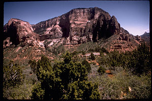 Zion National Park ZION2441.jpg