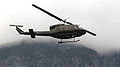Austrian Army Bell 212