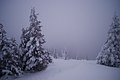 Winter slopes of Pip Ivan Marmaroskii