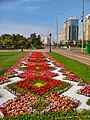 Квіткові візерунки на клумбах Києва, 20210823