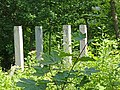 * Nomination Ruins of pergola in abandoned Mikhailovka Manor, Peterhof, Russia. --Екатерина Борисова 03:23, 13 June 2024 (UTC) * Promotion  Support Good quality. --Johann Jaritz 04:30, 13 June 2024 (UTC)